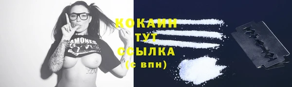 PSILOCYBIN Абаза