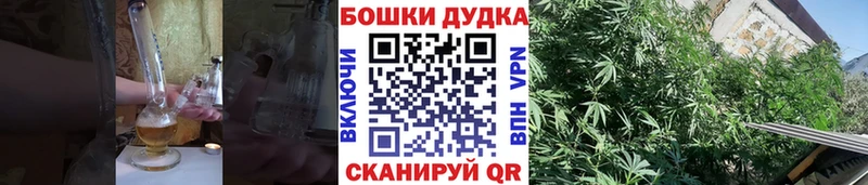 Шишки марихуана MAZAR Протвино