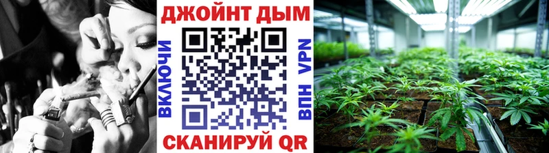 Марихуана план  Протвино 